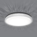 Управляемый светодиодный светильник PLUTON 40W R-400-SHINY-220-IP44